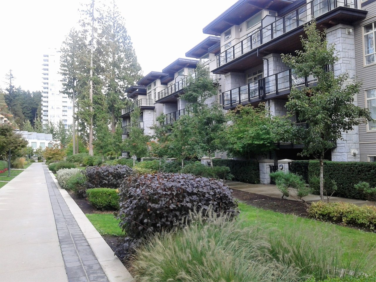 20170930_155803.jpg