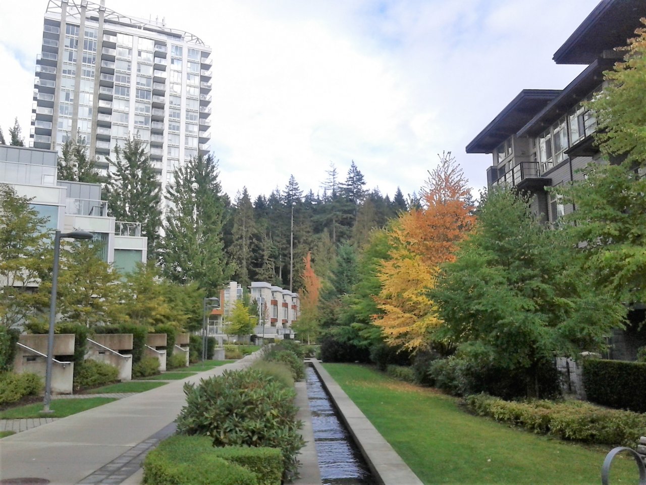 20170930_155920.jpg