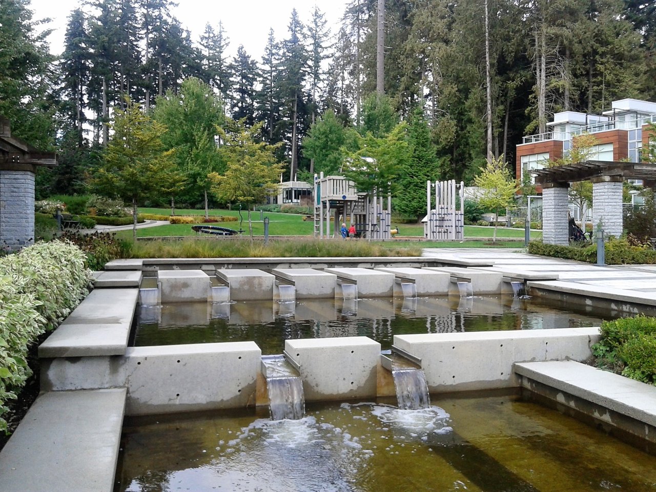 20170930_160012.jpg