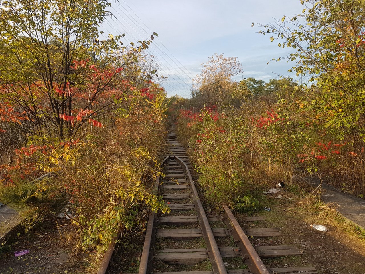 20171022_173150.jpg