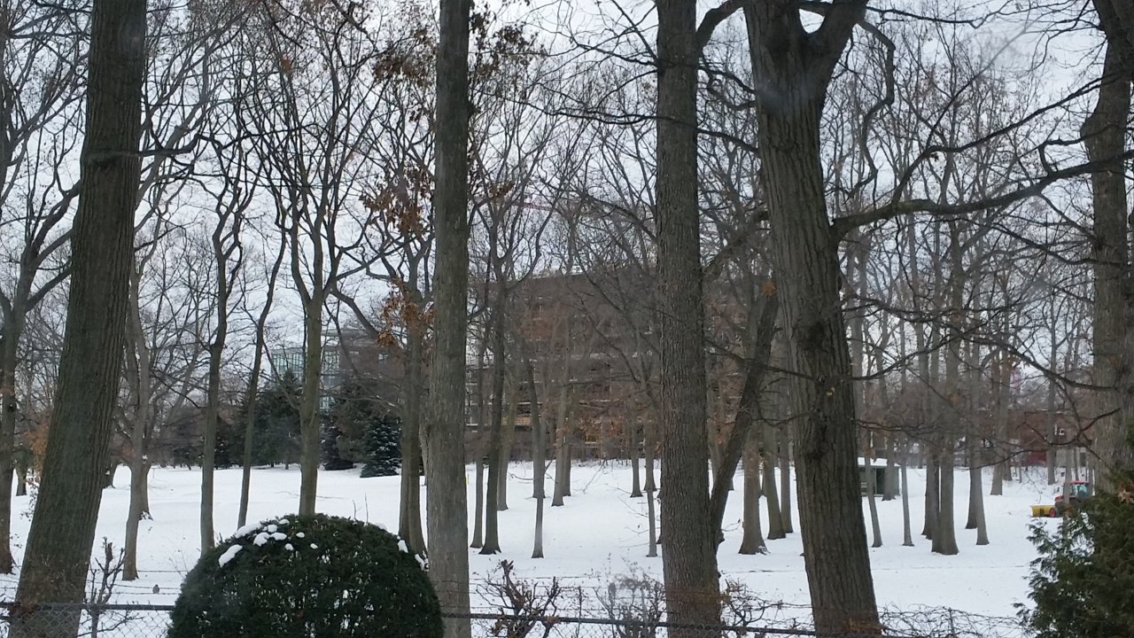 20171217_123916.jpg