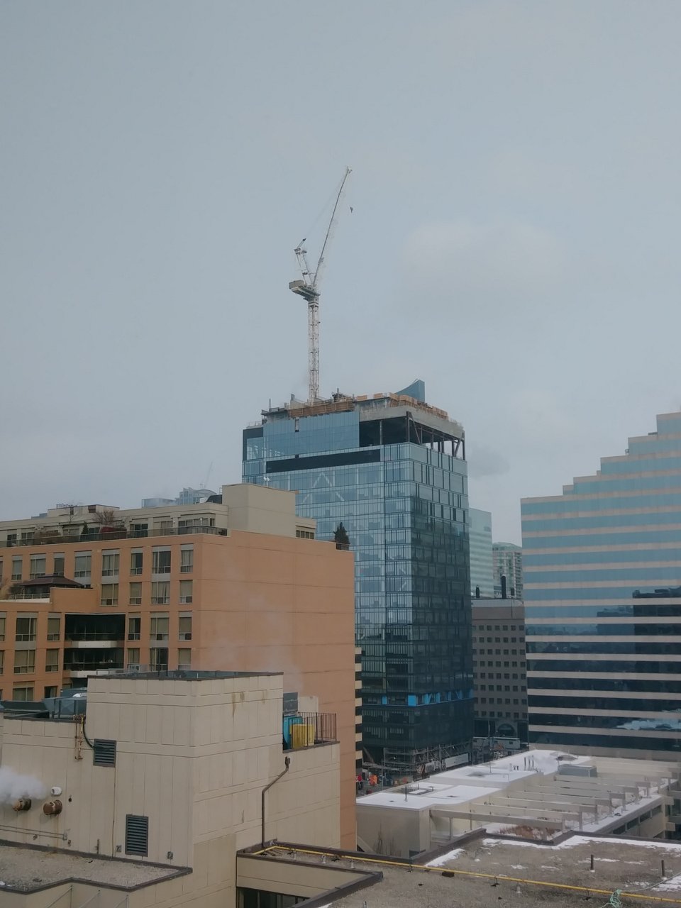 20180203_133048.jpg