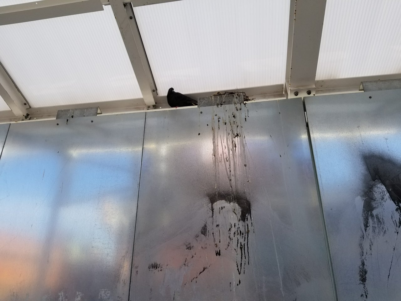 20180402_171610.jpg