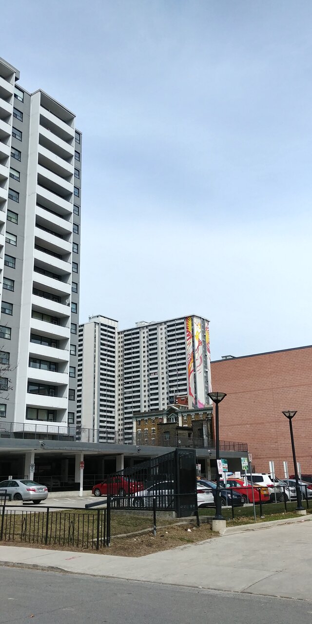 20180409_140451_HDR.jpg