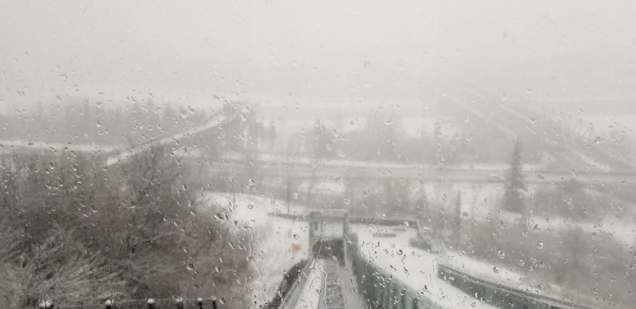 20180416_165910.jpg