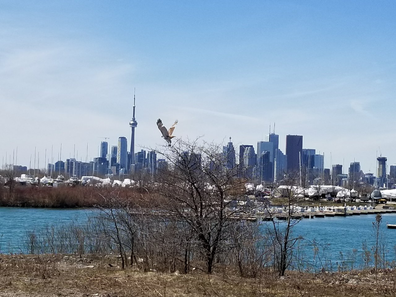 20180421_134707.jpg
