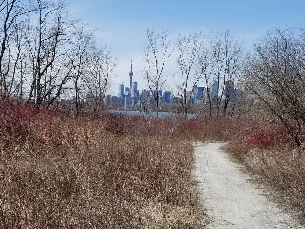 20180421_140036.jpg