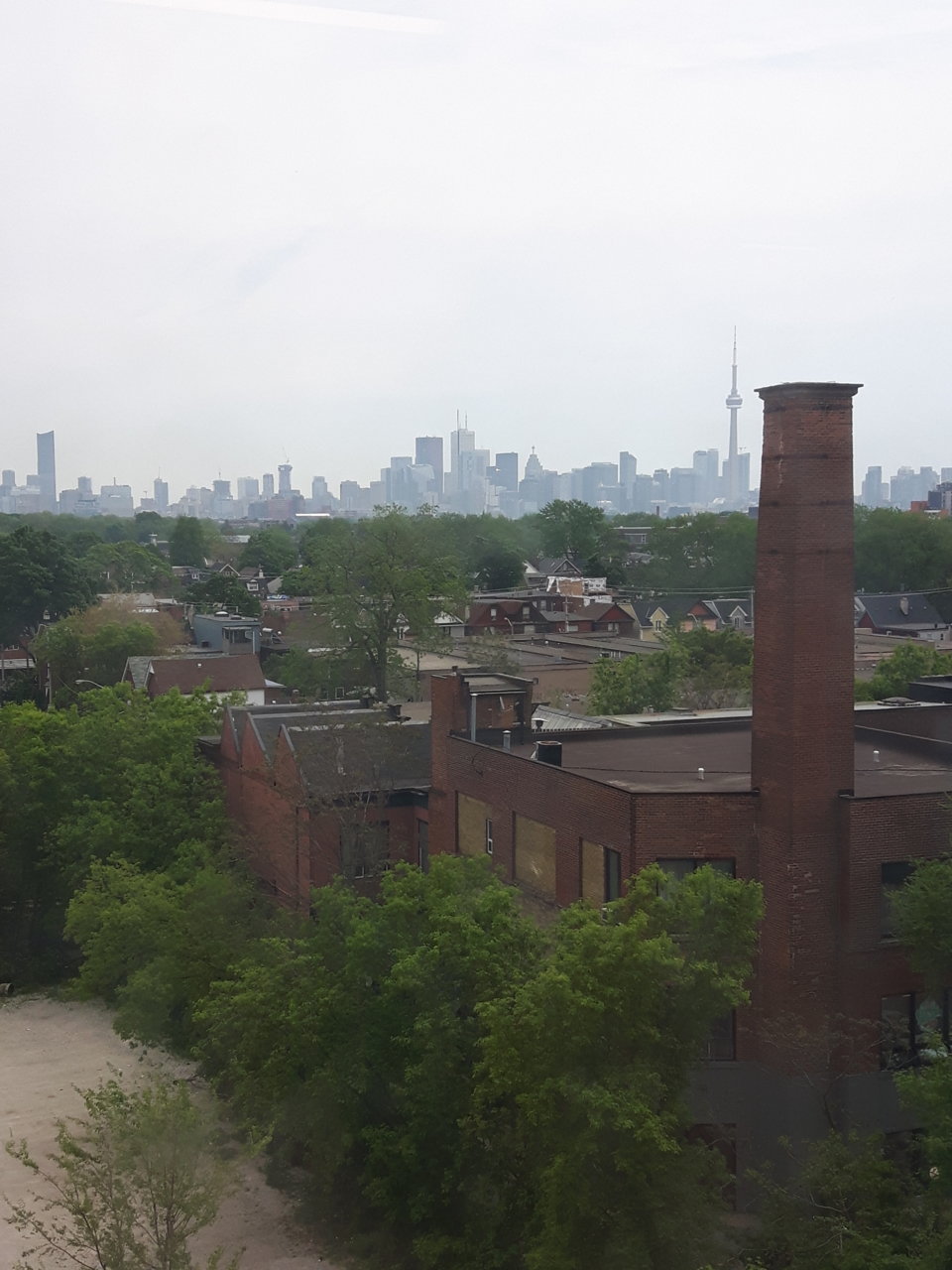 20180526_121654.jpg