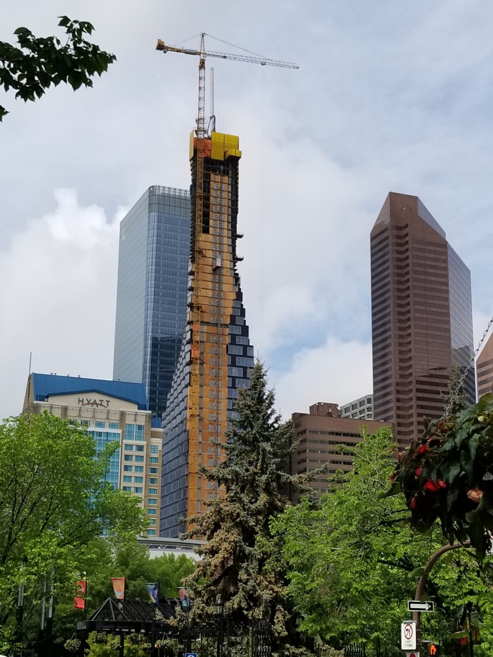 20180601_123054.jpg