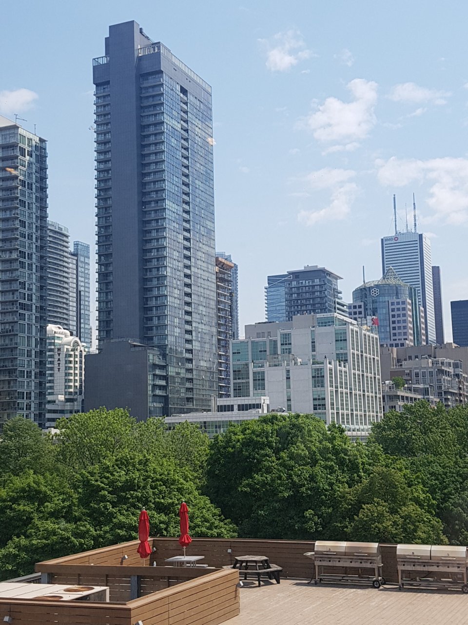 20180607_112621_resized.jpg