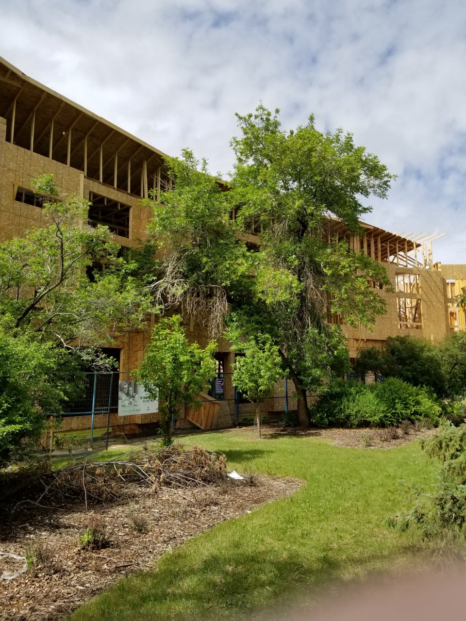 20180610_152952.jpg