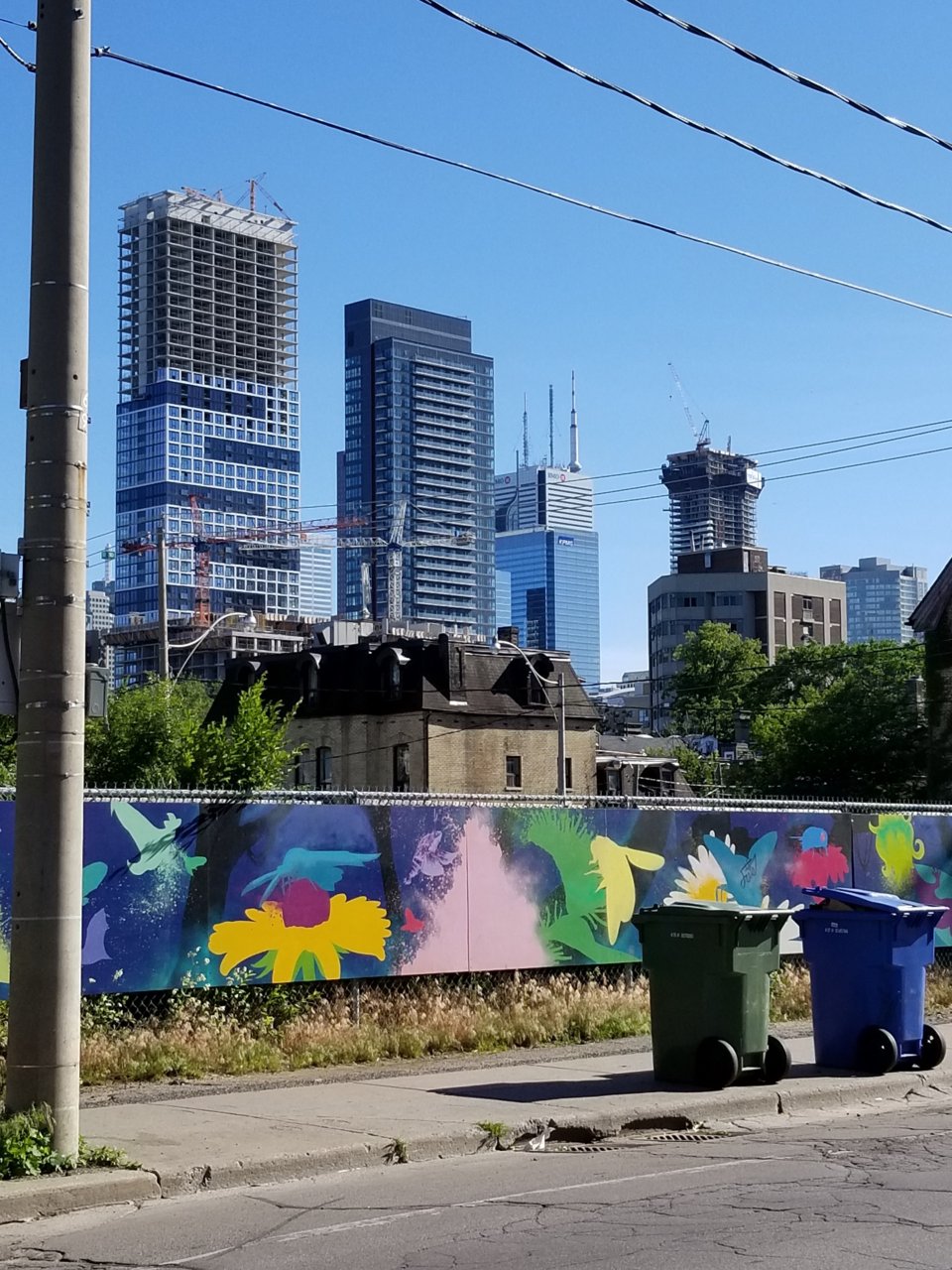 20180614_173229.jpg