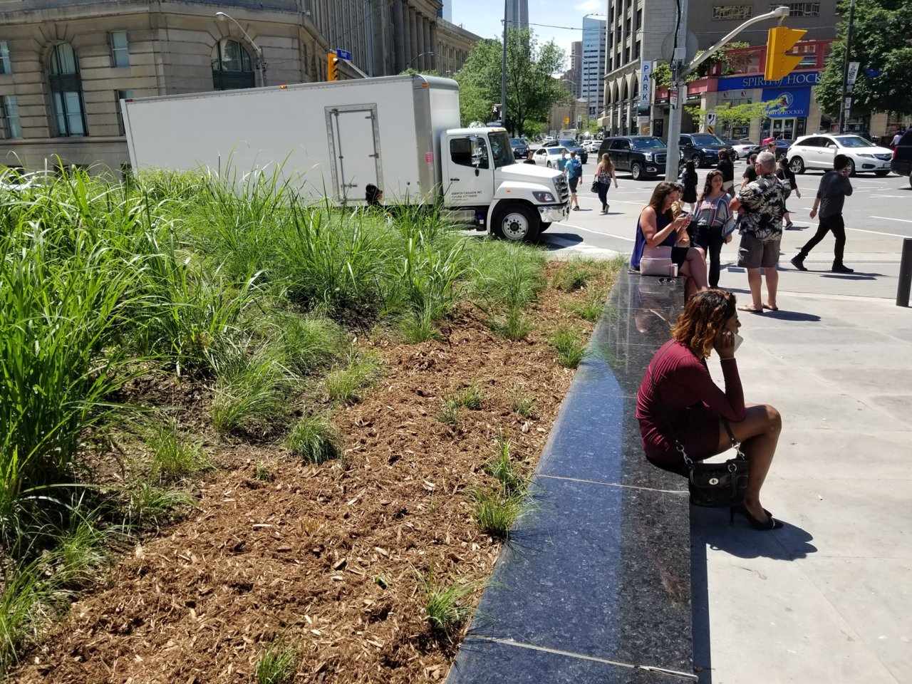 20180615_133949.jpg