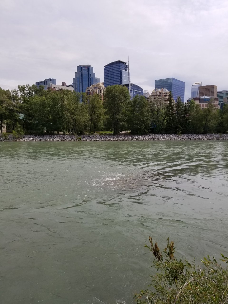 20180618_151735.jpg