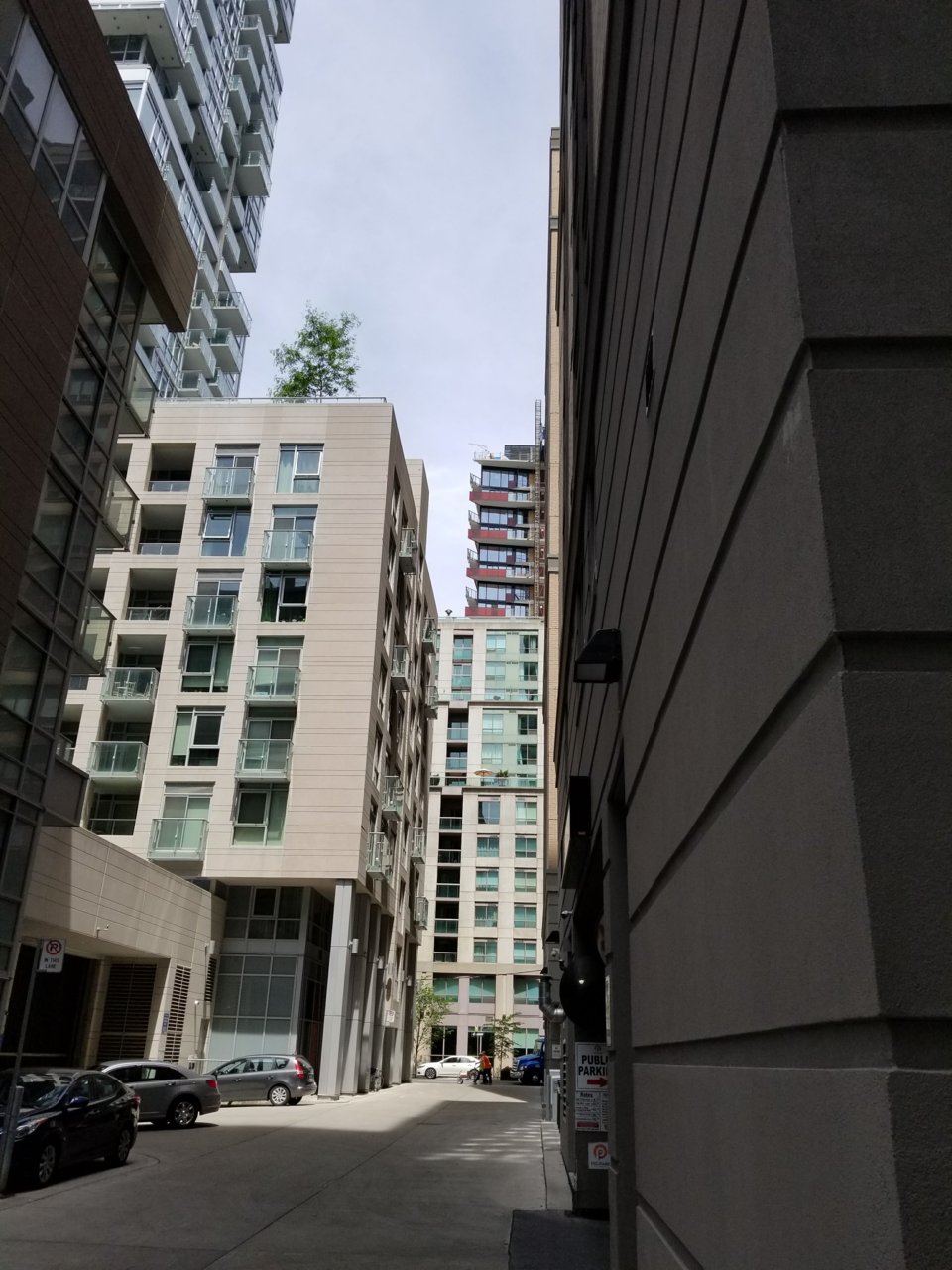 20180626_123451.jpg