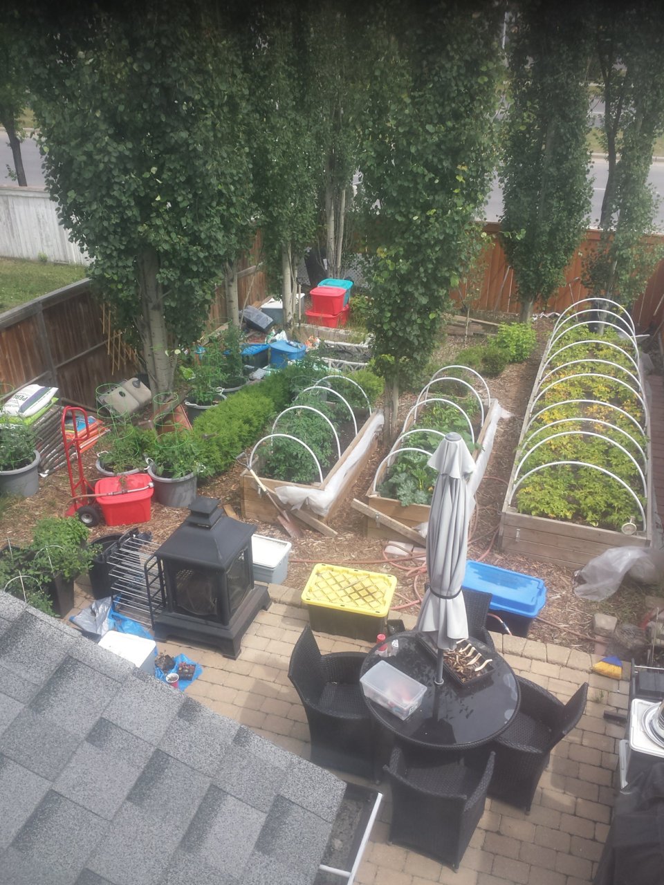 20180719_backyard.jpg