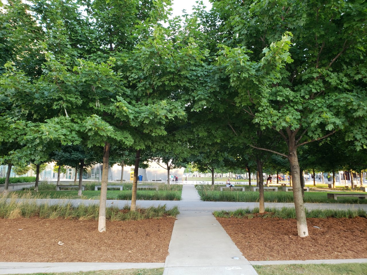 20180720_200157.jpg