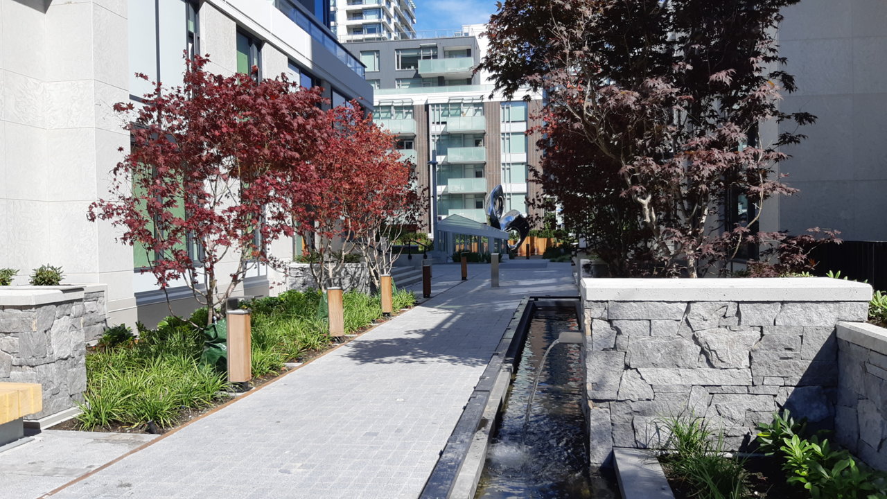 20180721_155901.jpg