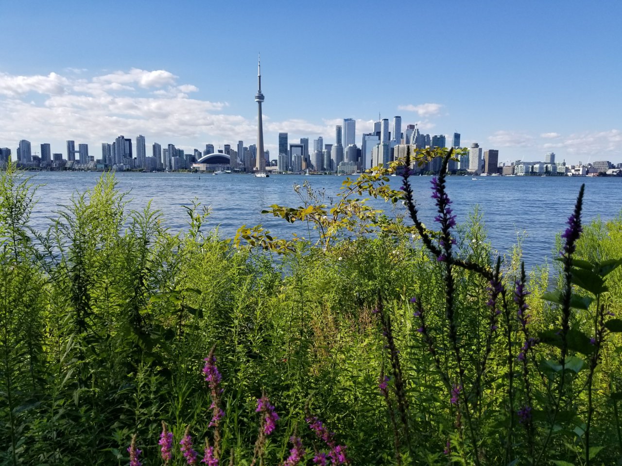 20180810_170107.jpg