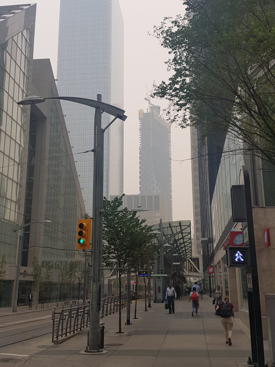 20180815_121740.jpg
