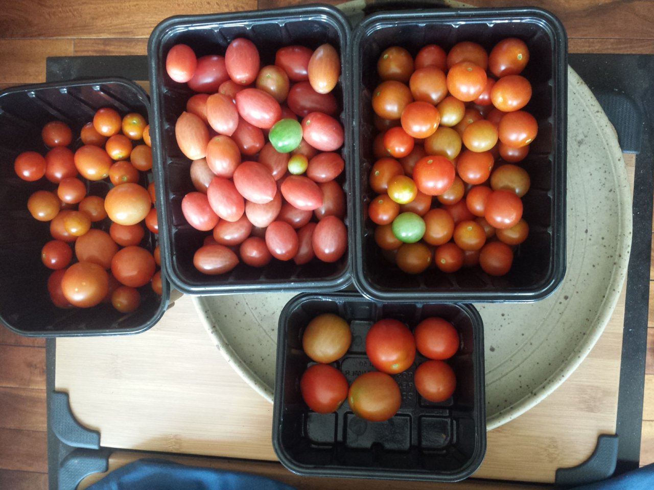 20180902_tomatoes.jpg