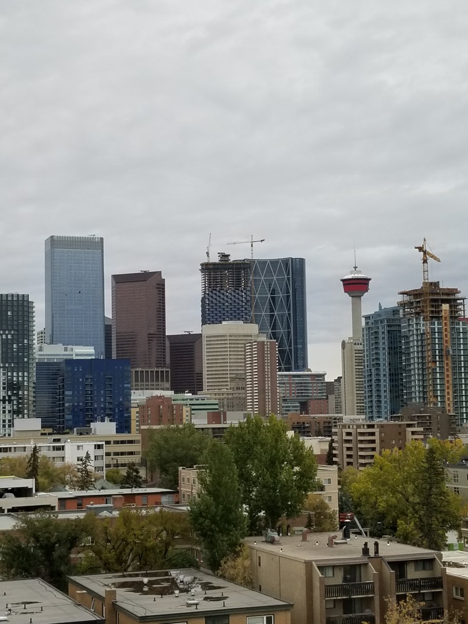 20180926_083740.jpg