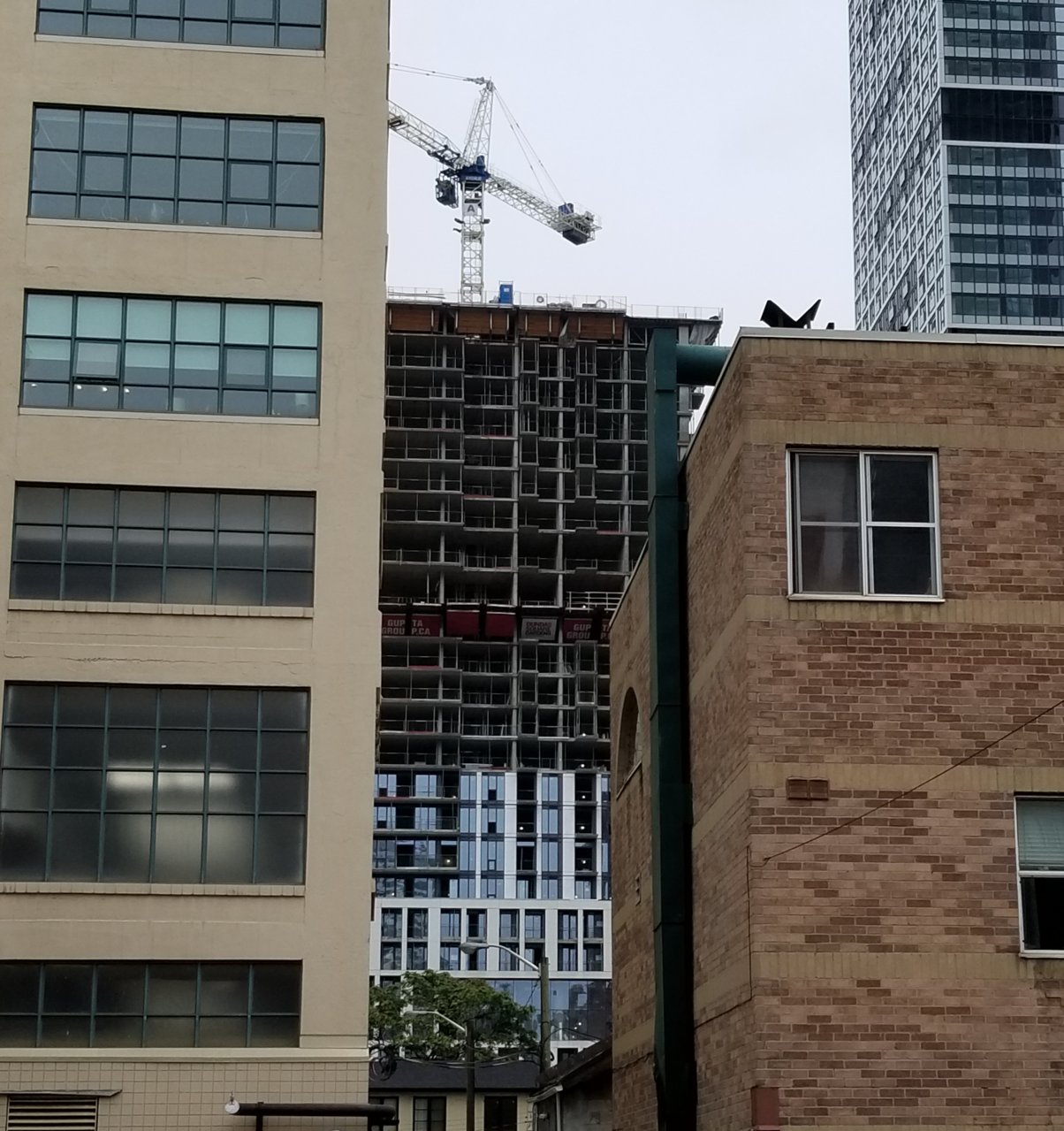 20180926_114945.jpg