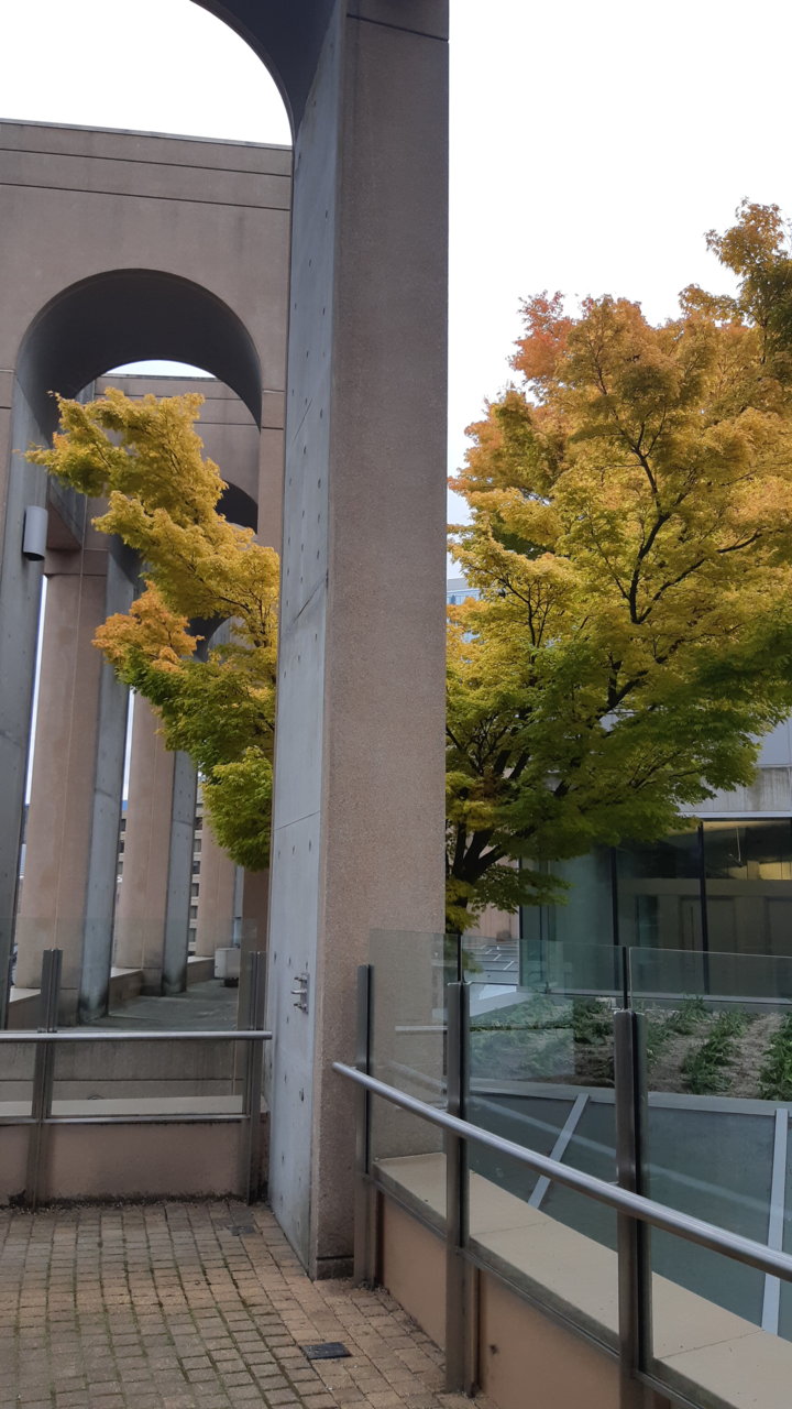 20180929_140012.jpg