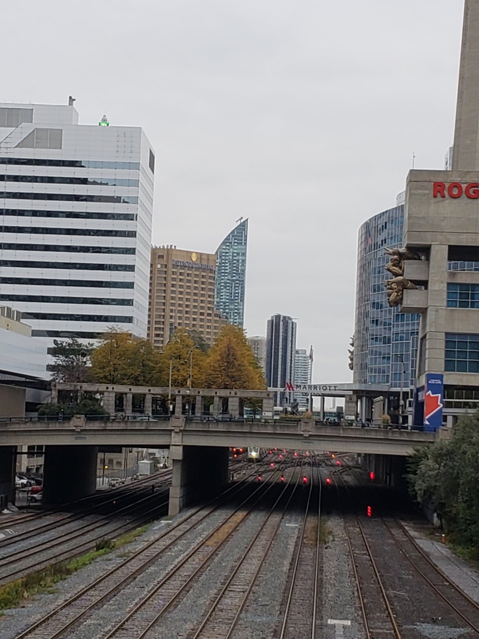 20181003_075134_resized.jpg