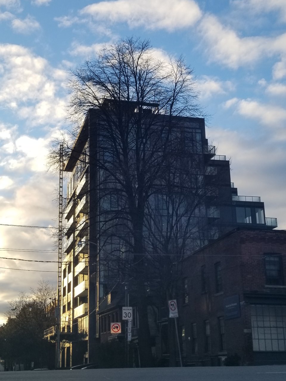 20181128_161015.jpg
