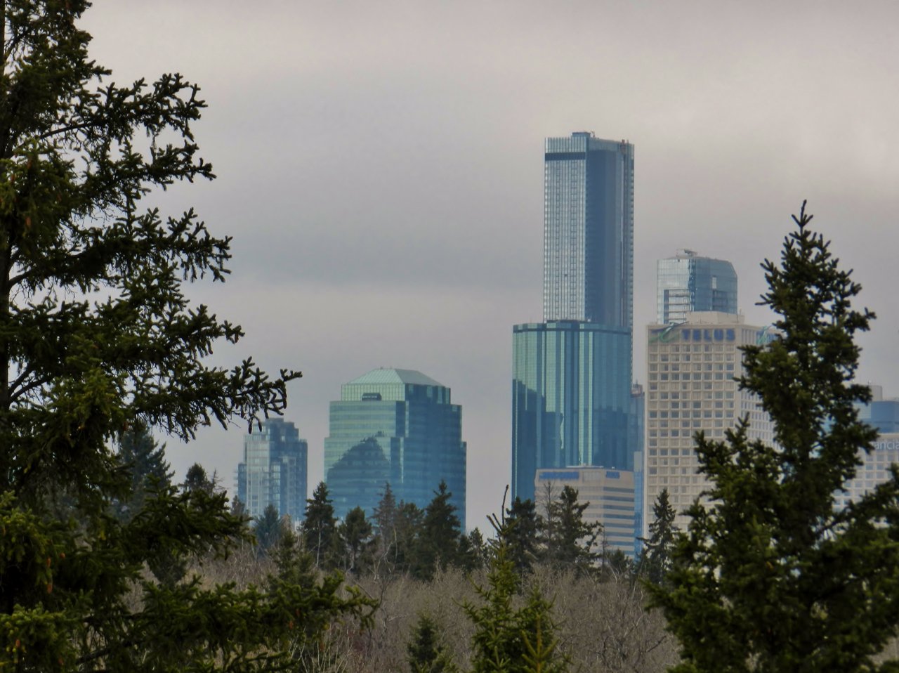 2019-04-06 076.JPG