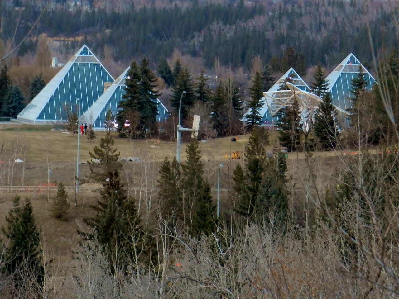2019-04-16 064.JPG