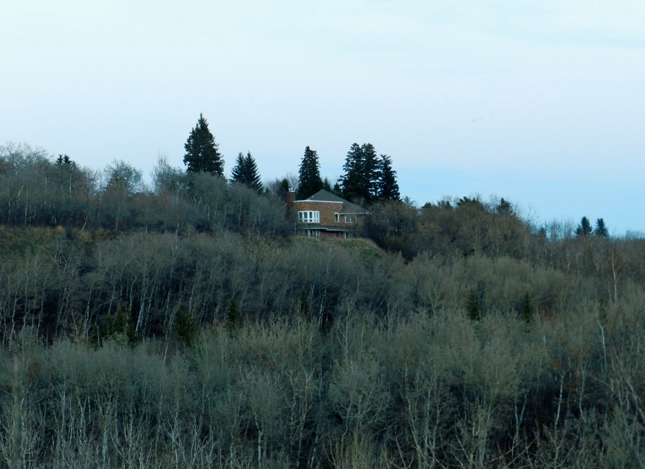 2019-04-16 075.JPG