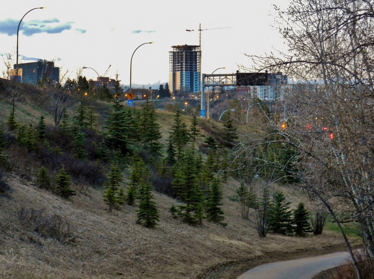 2019-04-22 053.JPG