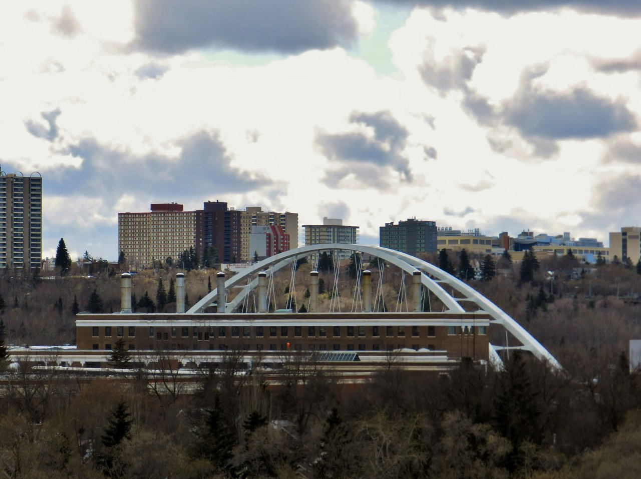 2019-04-28 651.JPG