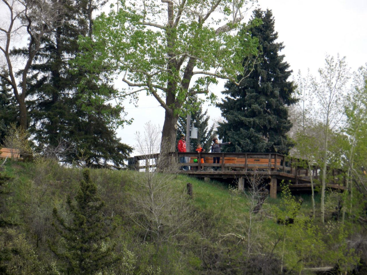 2019-05-18 486.JPG