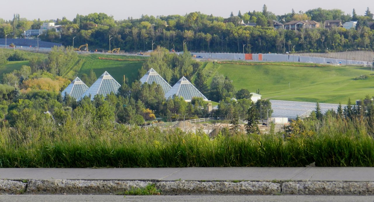 2019-09-07 280.JPG