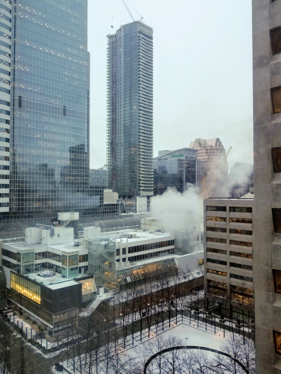 20190207_080012-2.jpg
