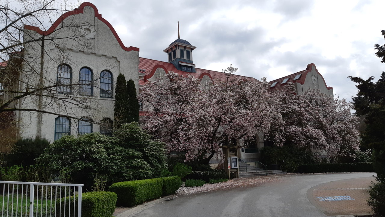 20190407_123853.jpg