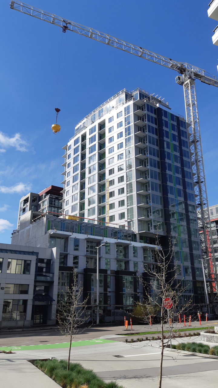 20190412_104045.jpg