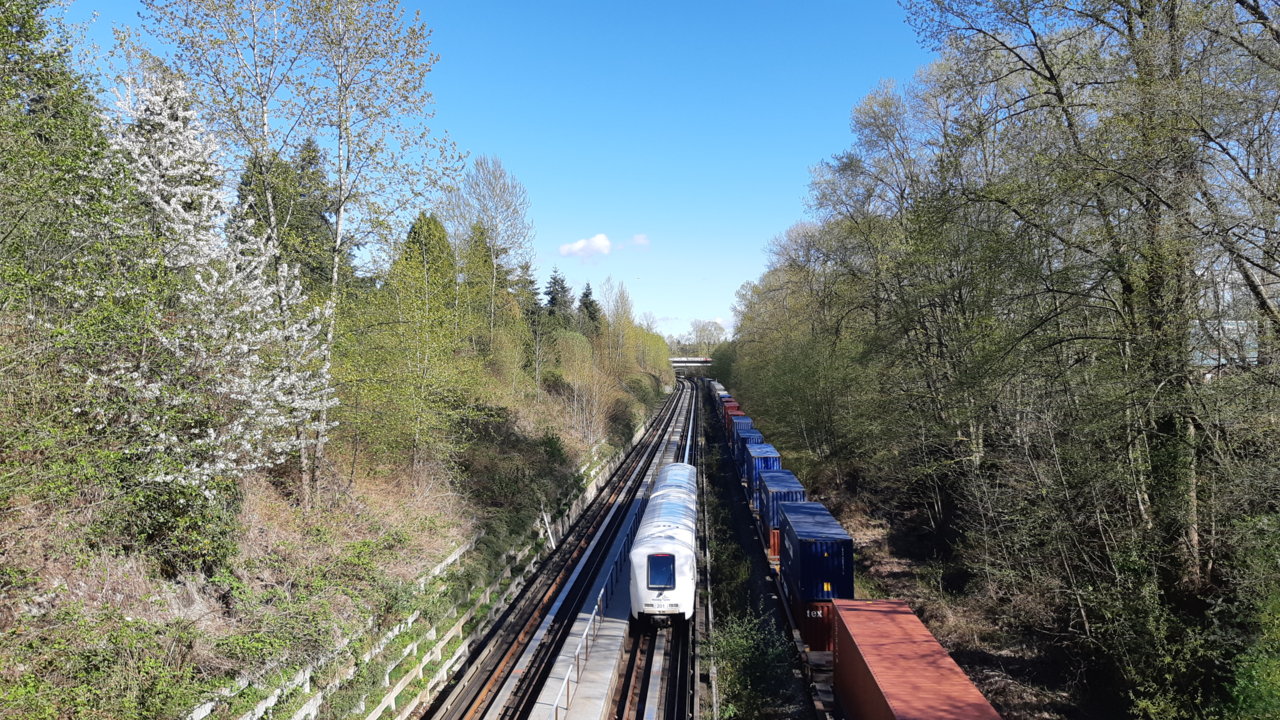 20190412_162422.jpg