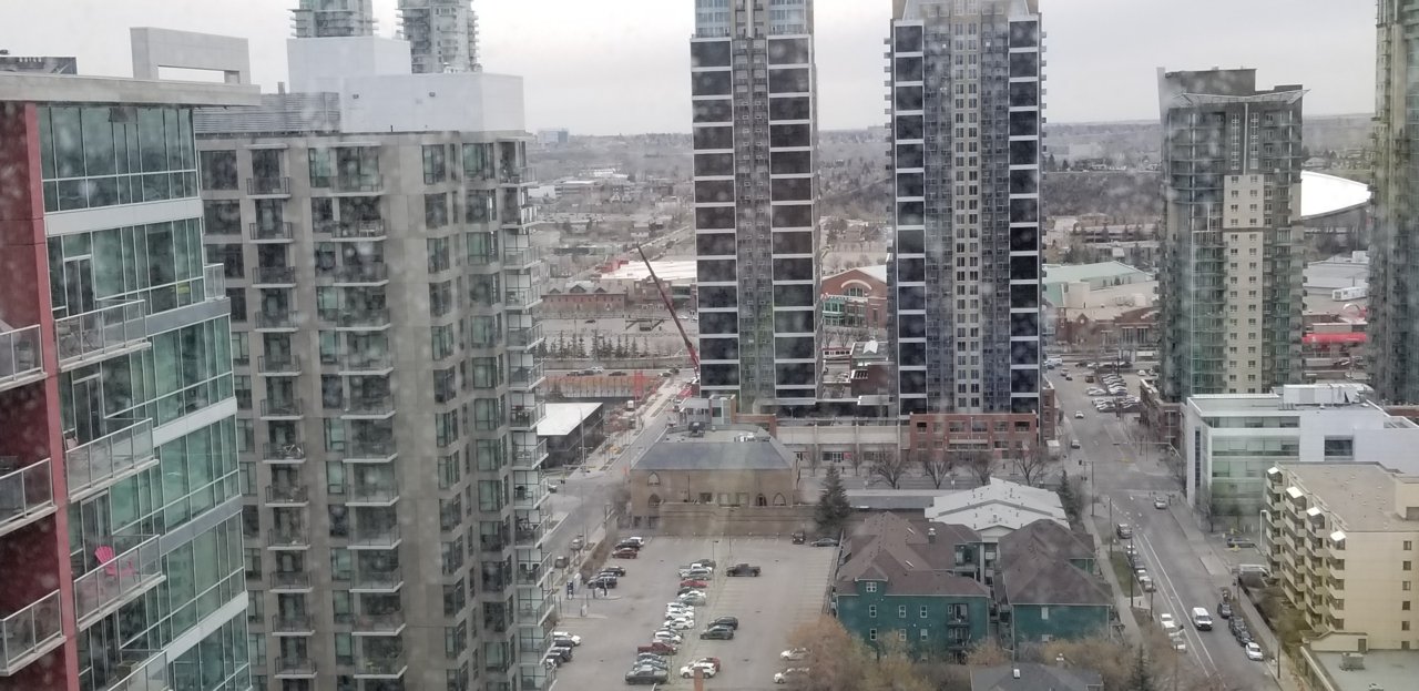 20190426_081759.jpg