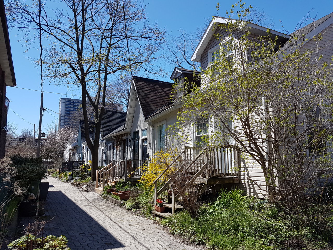 20190505_142251.jpg