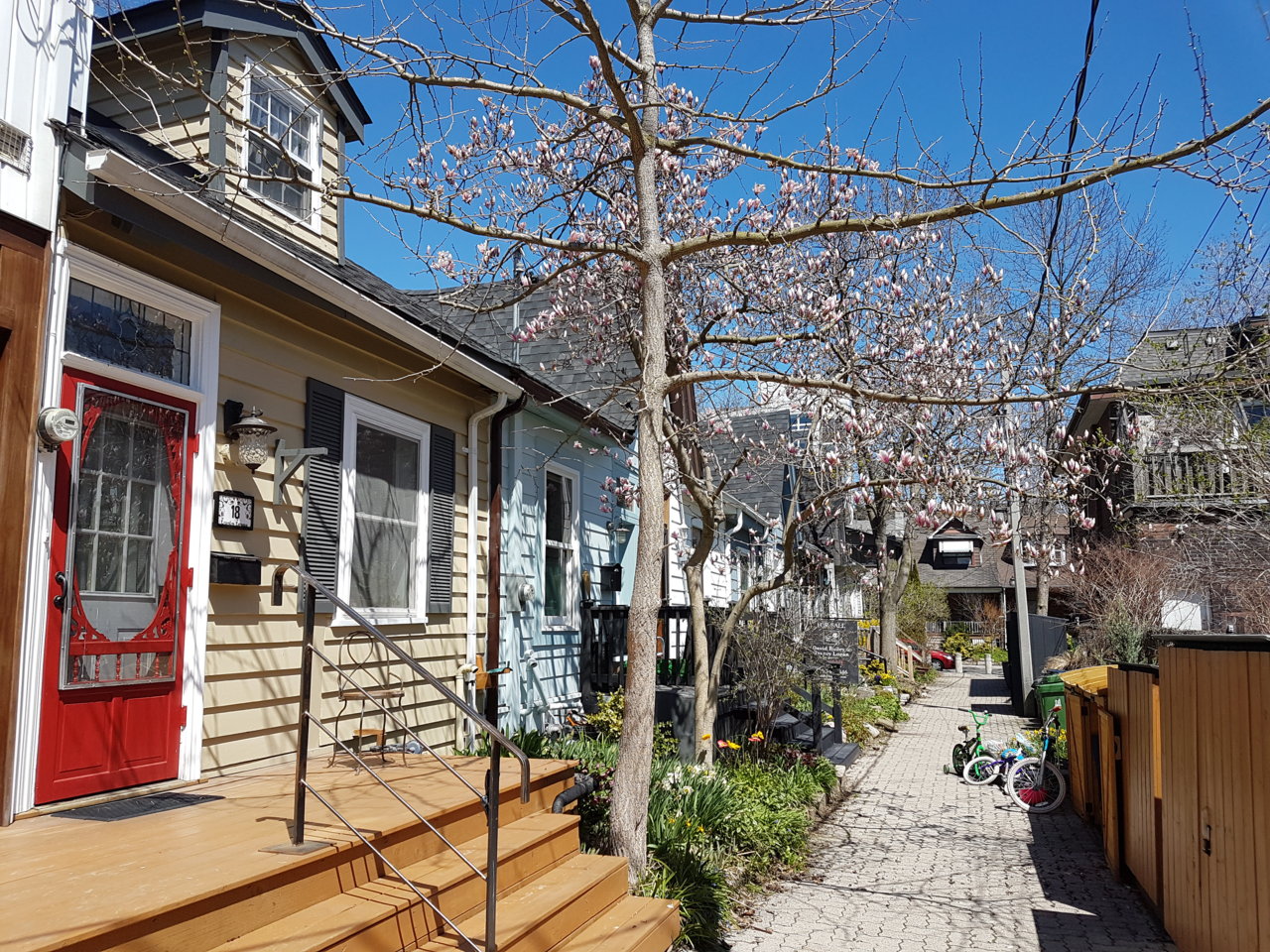 20190505_142336.jpg