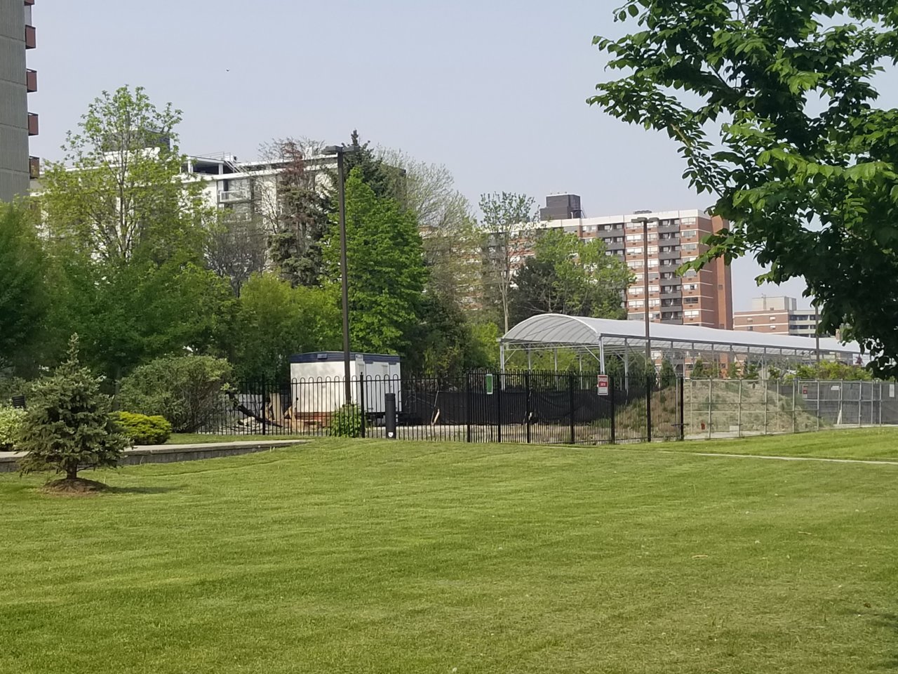 20190601_164146.jpg