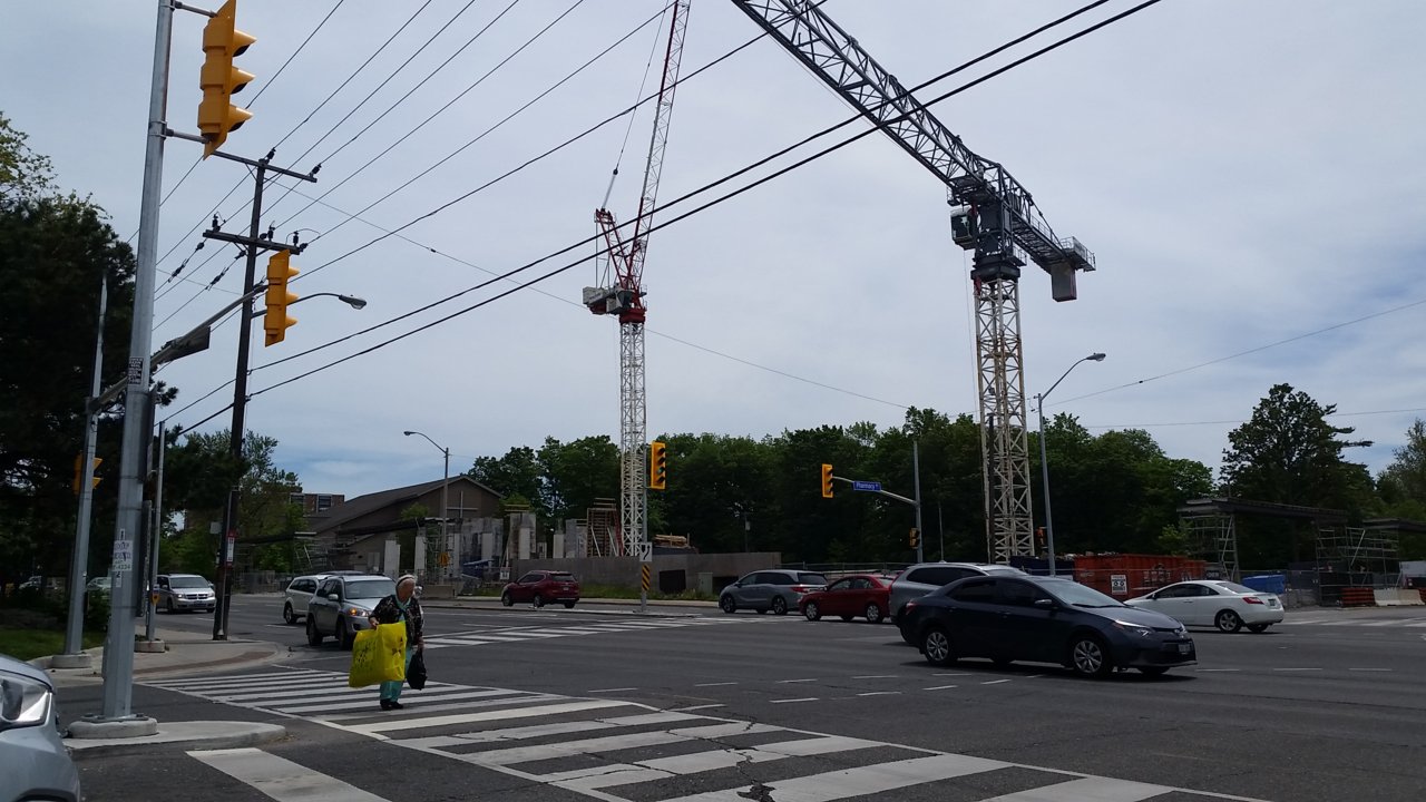 20190609_122104.jpg