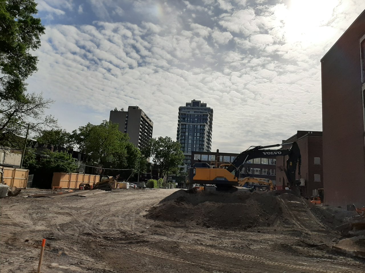 20190617_174221.jpg