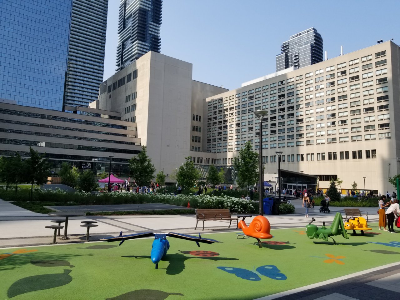 20190710_171151.jpg