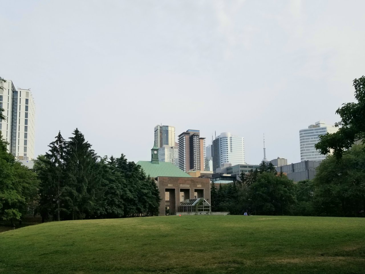 20190723_102050.jpg