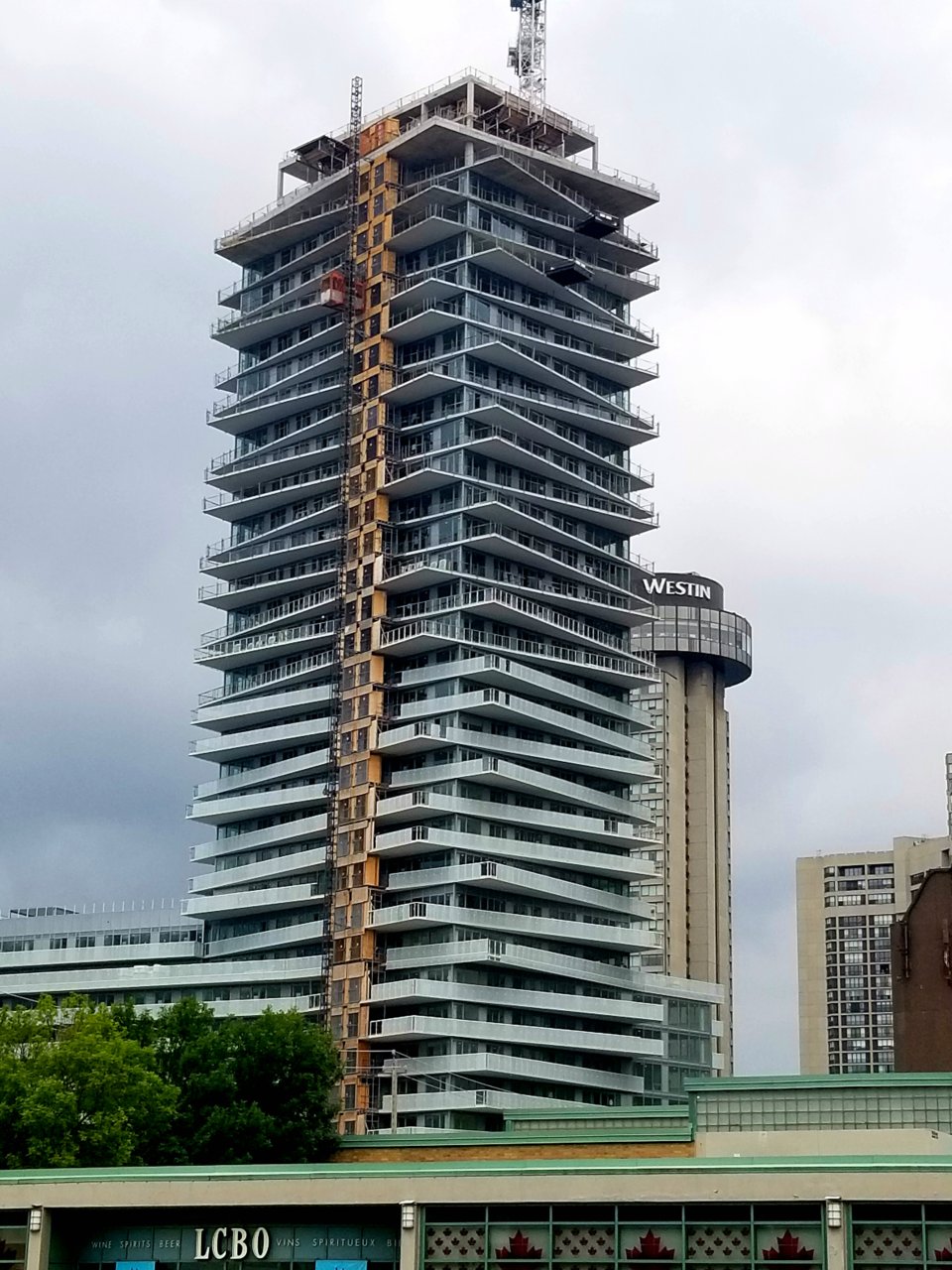 20190723_102936.jpg